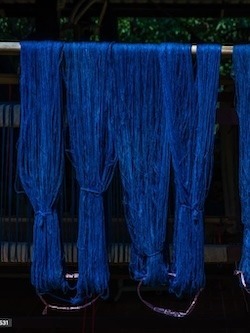 indigo dyed cotton hanging to dry